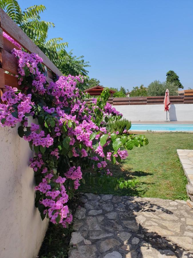 Villa Istrska Kamnita Hisa Soncni Medulin Extérieur photo
